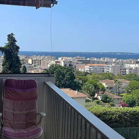 Les Pins 2 Pieces Vue Eden Park Appartement